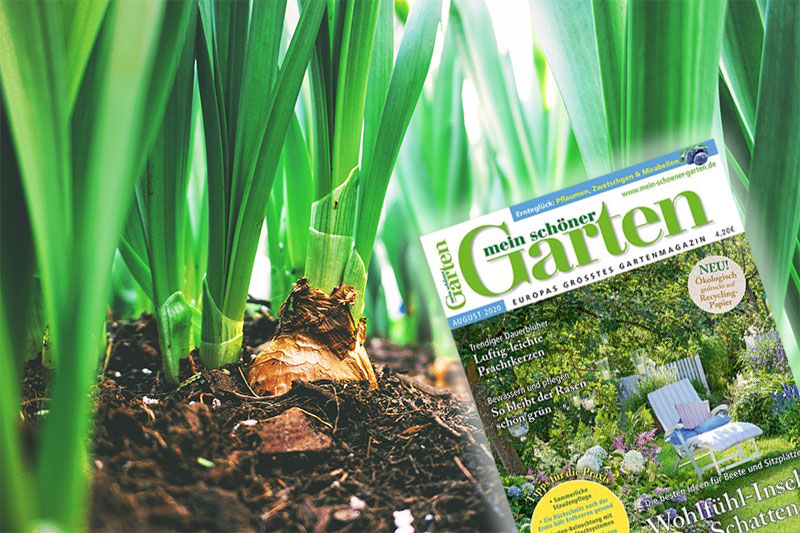 Garten Arkaden